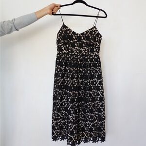 Elegant Black and Cream Lace Dress